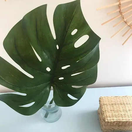 Caique - De Charme Com 3 Quartos No Centro Historico De 公寓 奥良