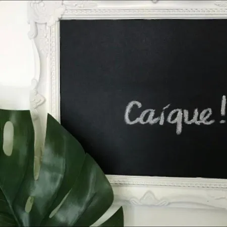 Caique - De Charme Com 3 Quartos No Centro Historico De 公寓