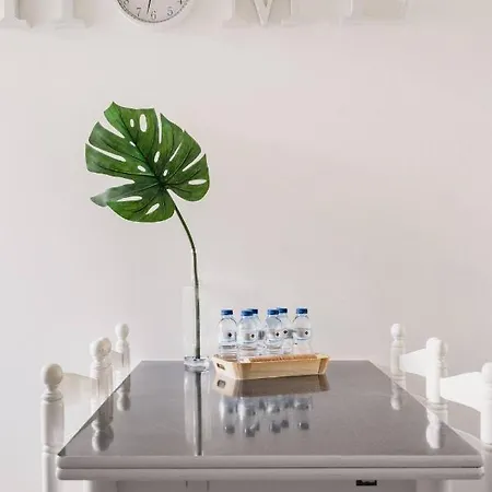 Caique - De Charme Com 3 Quartos No Centro Historico De 公寓