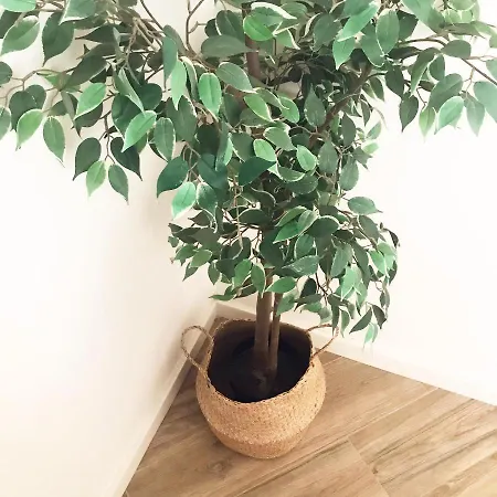 Caique - De Charme Com 3 Quartos No Centro Historico De 奥良